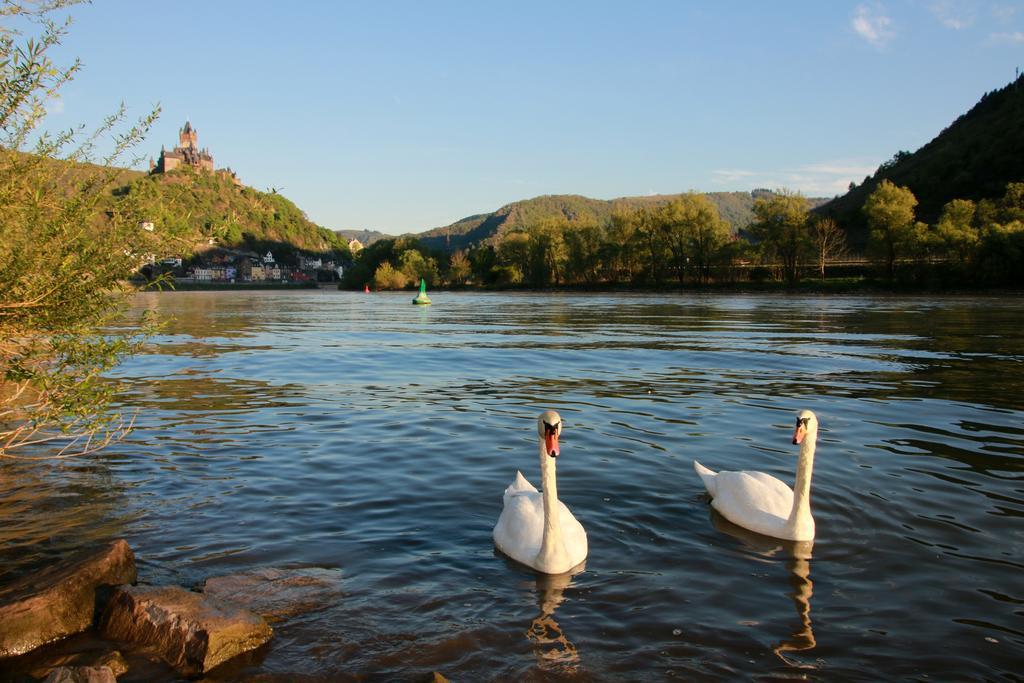 Hotel Klasen Cochem Esterno foto